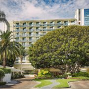fairmont miramar entrance with bay fig tree