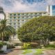fairmont miramar entrance with bay fig tree