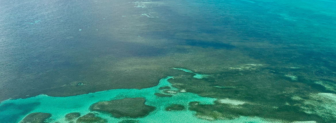 bahamas experience