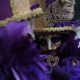 celebrate mardi gras