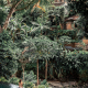 most luxurious hotels and resorts in bali