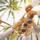 bachelor party cheers with beer