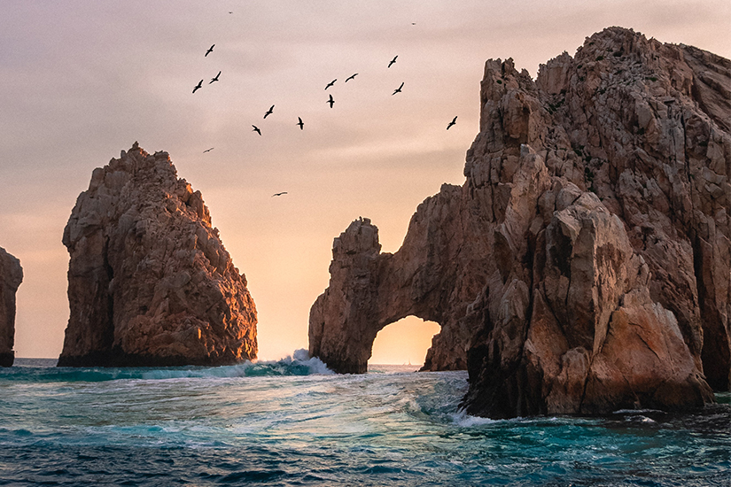 cabo nightlife destinations