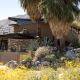 alexander house palm springs villa rental