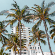 how to spend a 21st birthday in miami palm trees