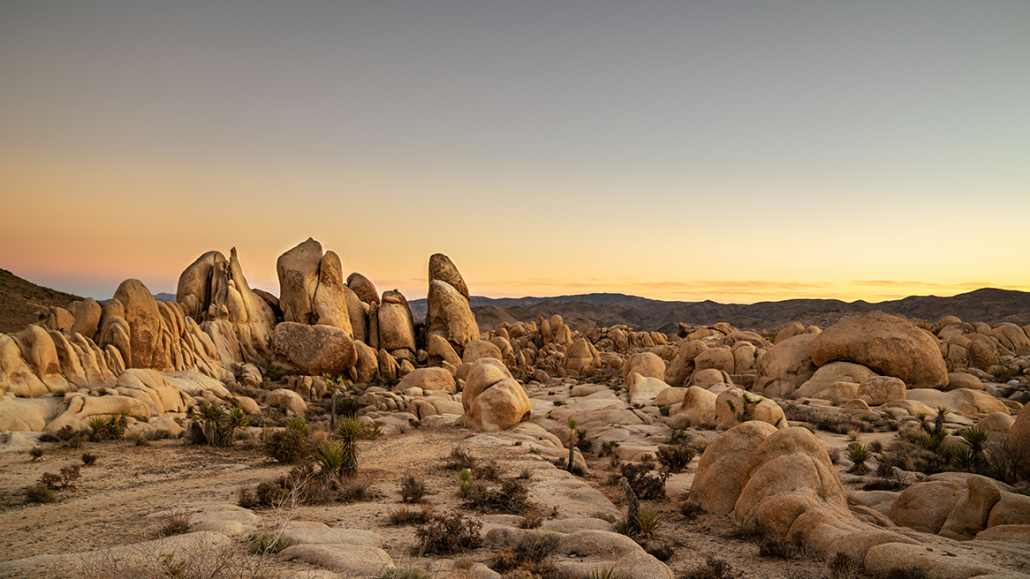 joshua tree national park rocks