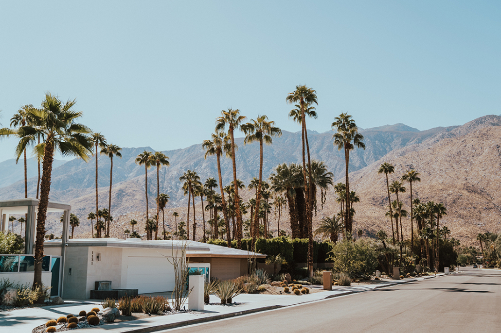 palm springs house with palm trees