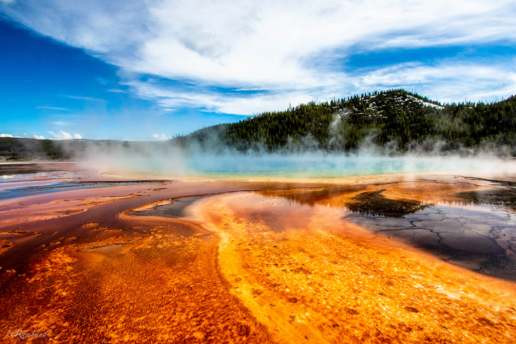 yellow national park geysers