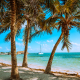 belize travel guide where landscape meets luxury palm trees