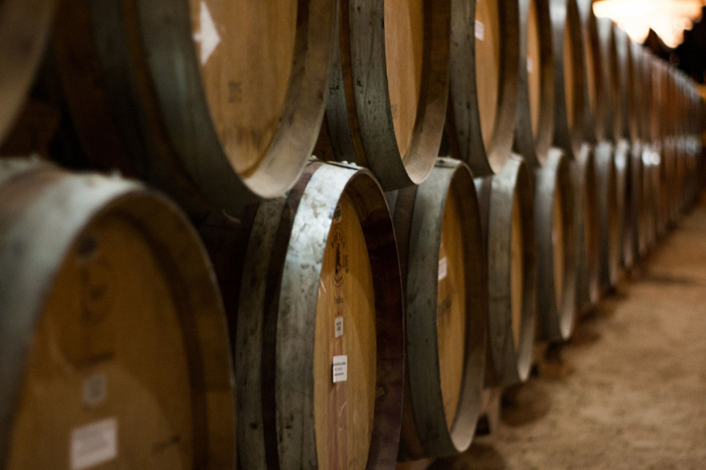 wine barrels in a wine cellar