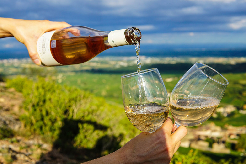 pouring glass of wine at vineyard