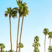 coachella parties guide to the best events of the weekend