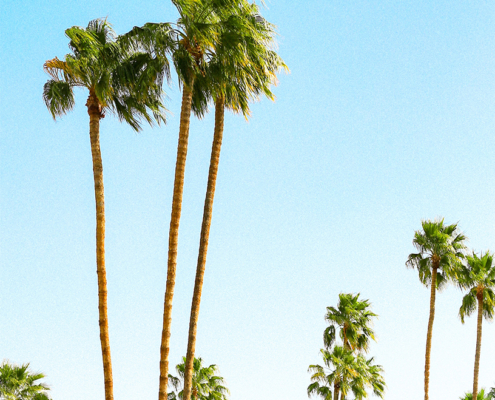 coachella parties guide to the best events of the weekend