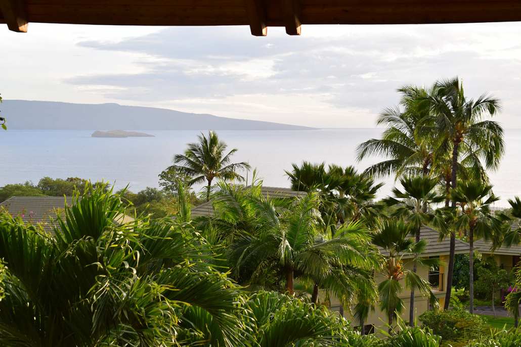 hotel wailea maui ocean view