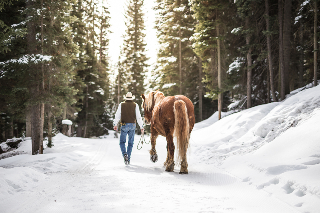 horses in the winter at lone mountain ranch