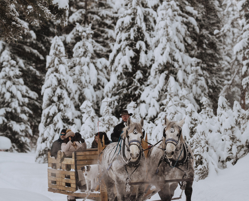 sleigh ride dinner experience in the snow at lone mountain ranch