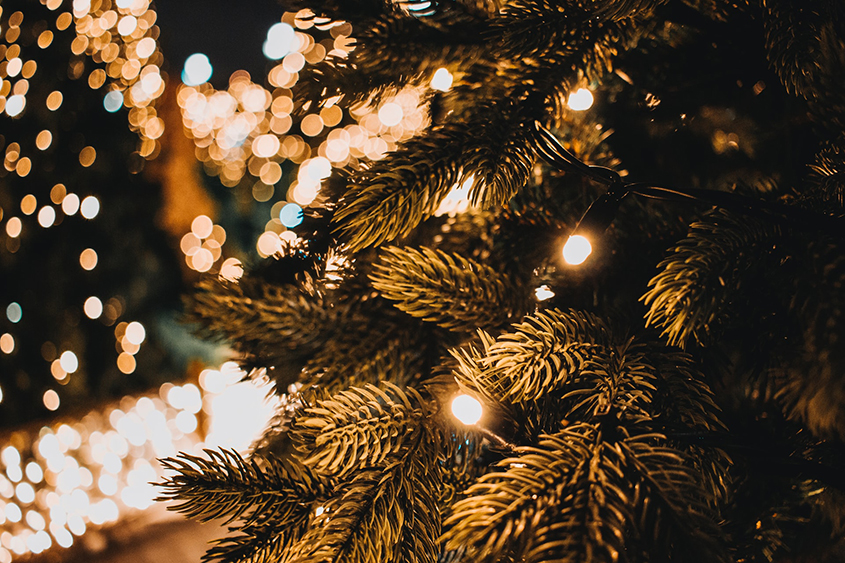 things to do in los angeles for christmas lights