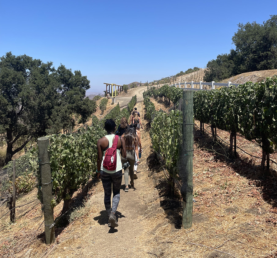 Saddlerock Ranch Malibu Wine Hikes