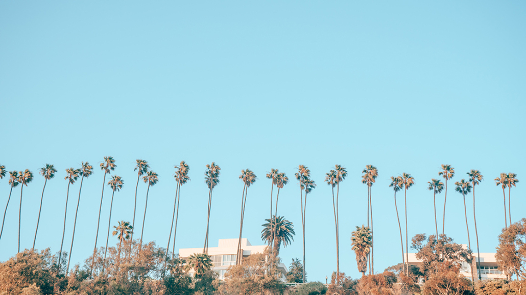 malibu palm trees view