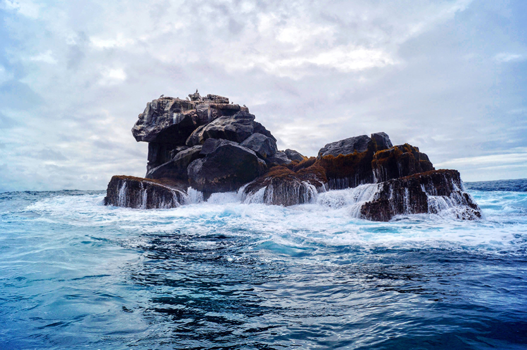 galapagos islands ecuador