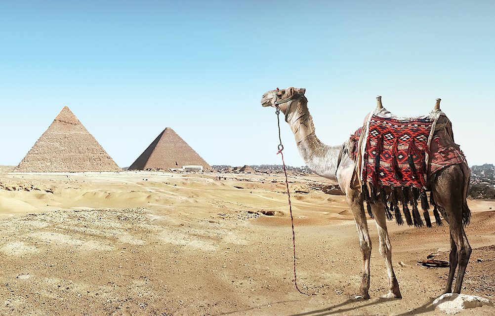 pyramids of giza egypt