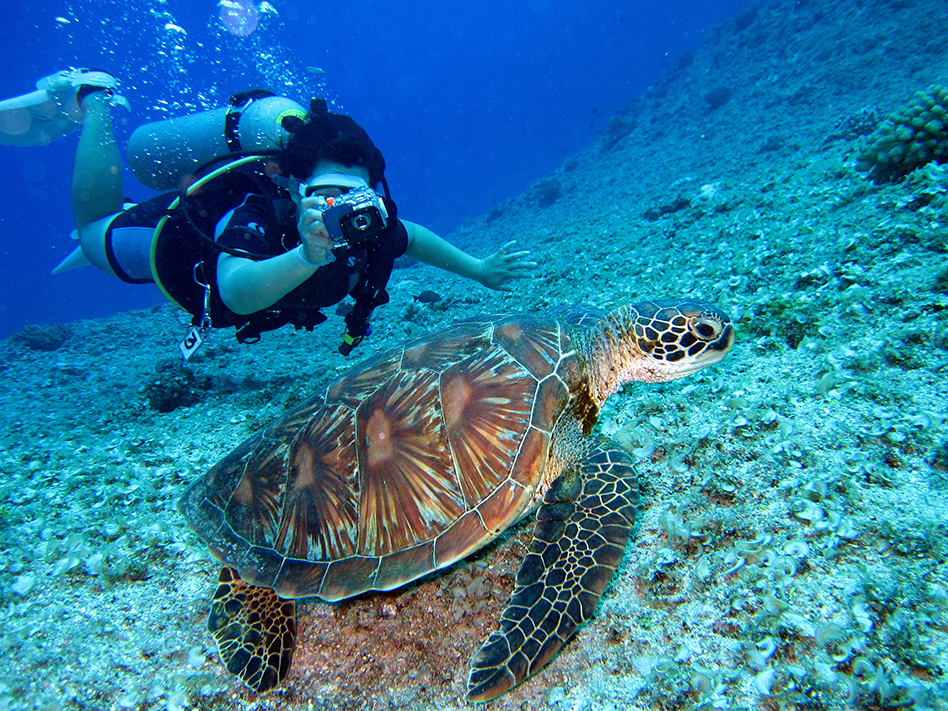 scuba diving with turtles