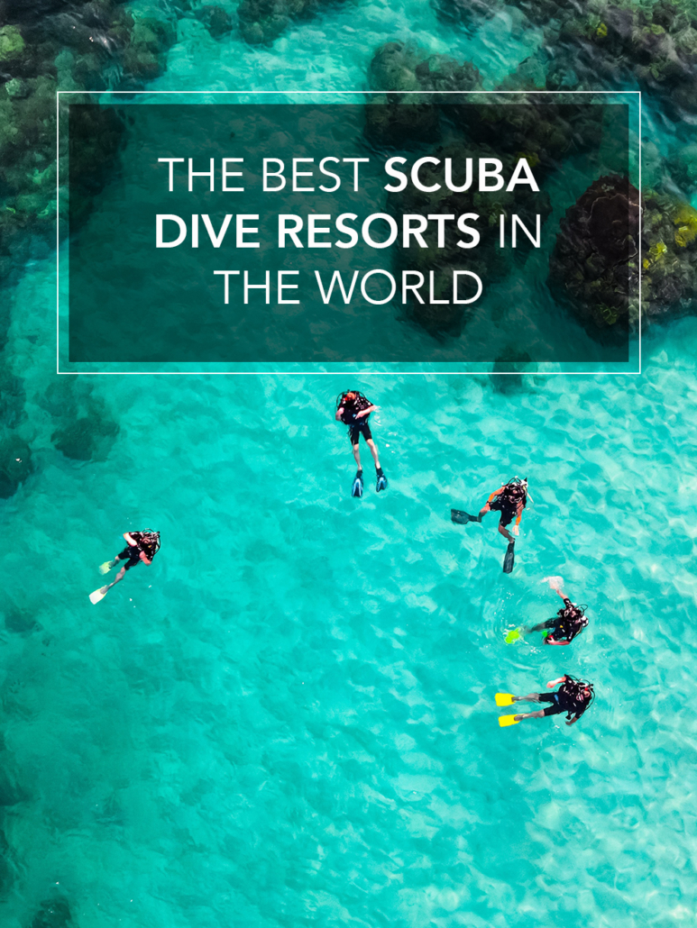 the best scuba dive resorts in the world