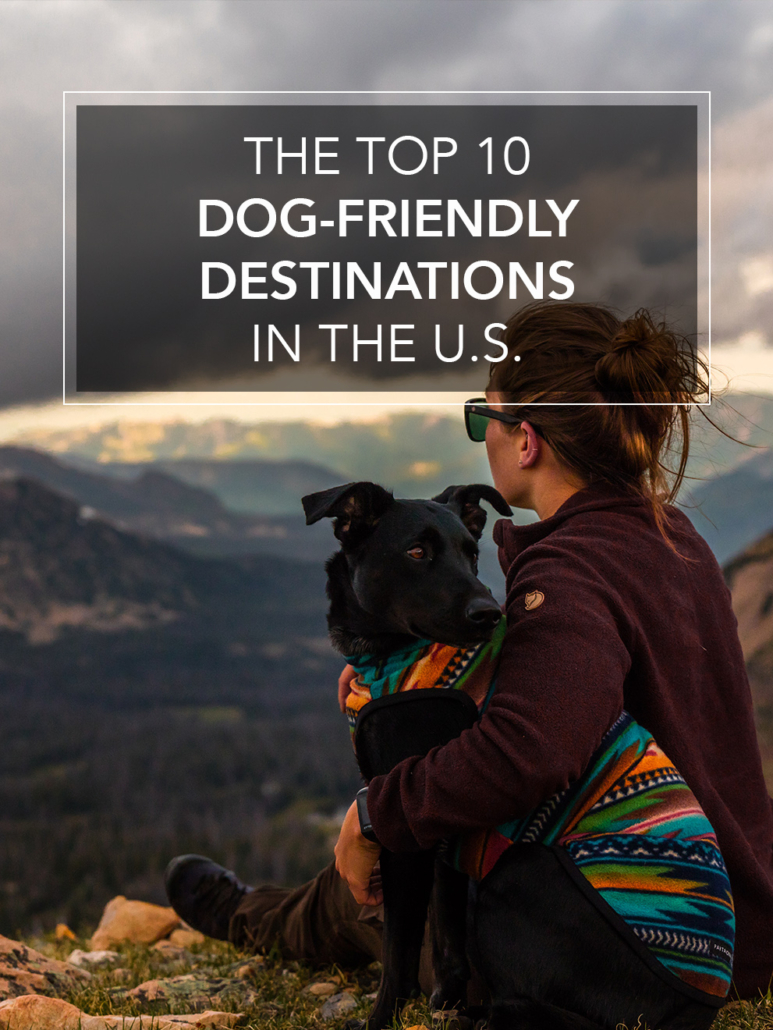 the top 10 dog-friendly destinations in the U.S.