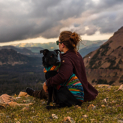 the top 10 dog-friendly destinations in the U.S.