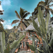 the top 12 eco-friendly resorts in the world