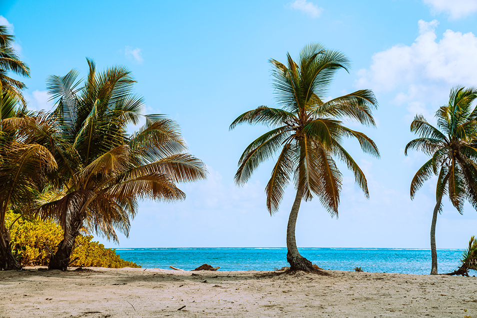 belize destination wedding ideas