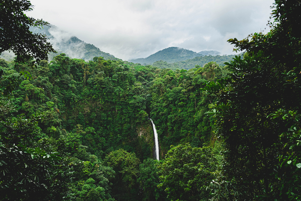 costa rica waterfall in the trees
