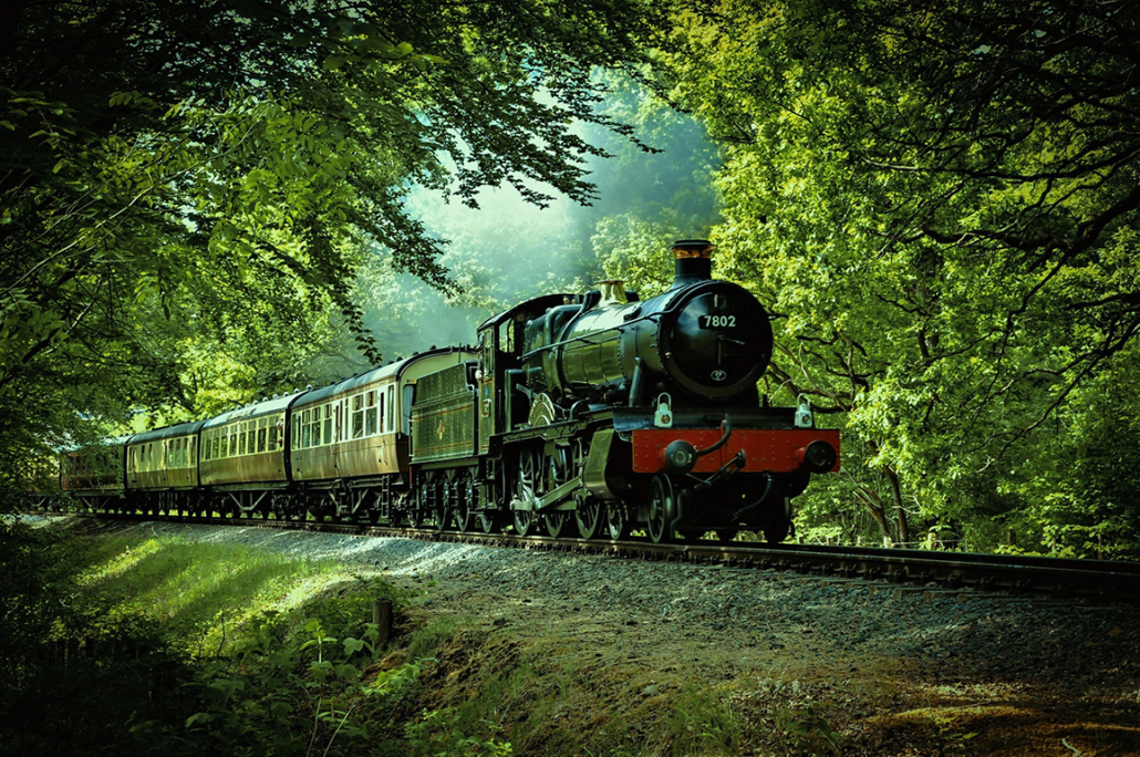 luxury train ride in forest