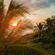 the most unique places to stay in costa rica