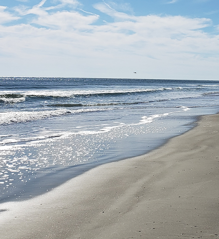 Cumberland Island Georgia beaches