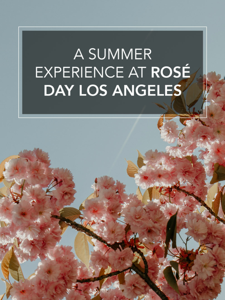 summer experience at rose day los angeles