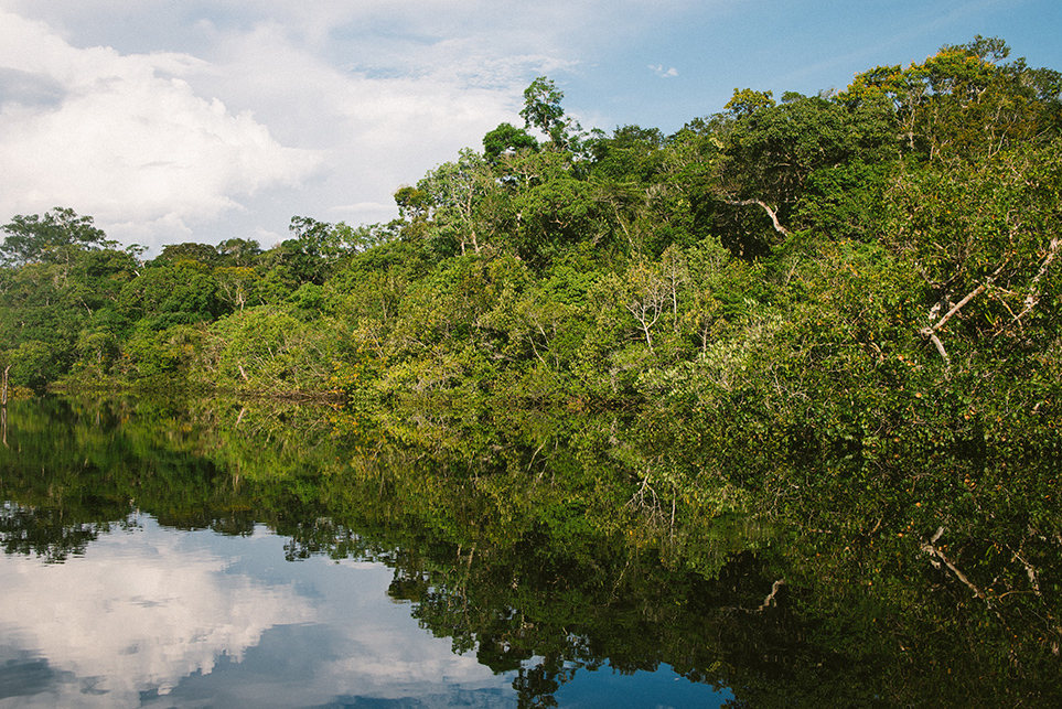 amazon river cruises