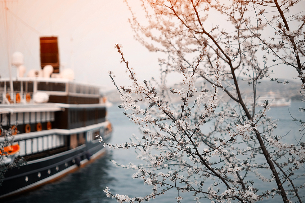 asia river cruises