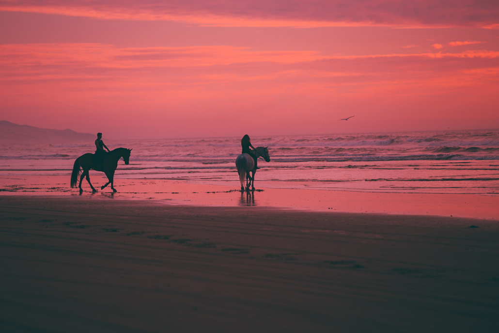couple horseback riding turks and caicos
