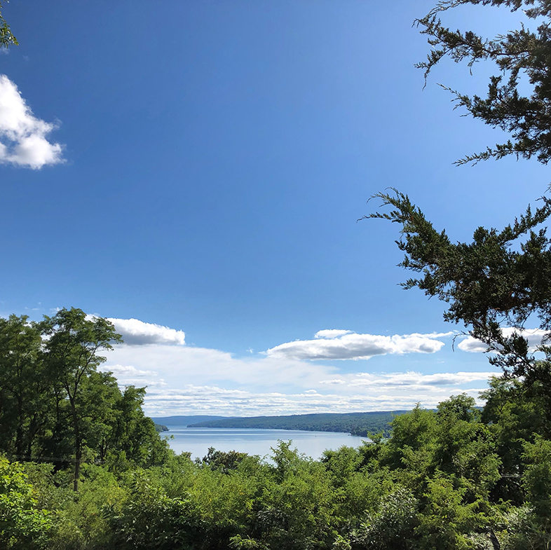 finger lakes destination