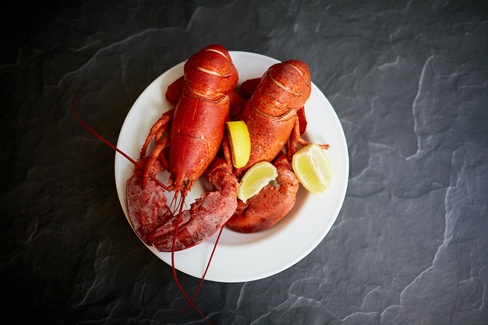 lobster nantucket