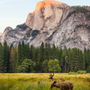 the 10 most underrated national parks in the united states