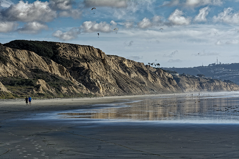 torrey pines san diego
