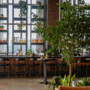 discover a sustainable sanctuary at 1 hotel nashville