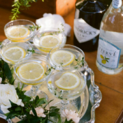 the best bars in charleston south carolina