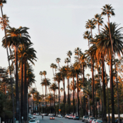 the best hotels in beverly hills