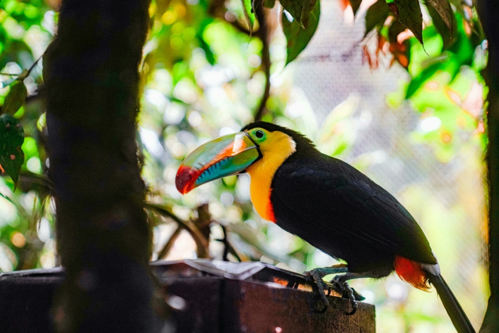 where to camp central america