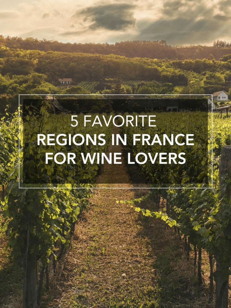 main image for the best regions in france for wine lovers best wine in france blog
