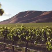featured image for romantic weekend in napa valley blog