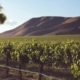 featured image for romantic weekend in napa valley blog